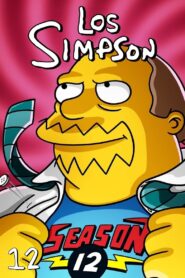 Los Simpson: Season 12